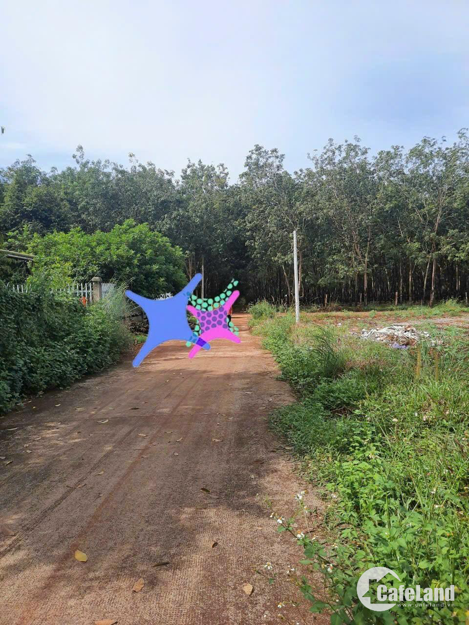 chủ ngộp ngân hàng cần ra gấp