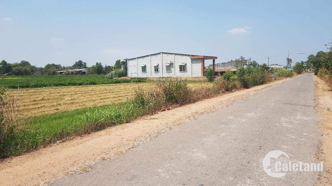 đất full thổ cư 32×32 giá 65trm khu vực đông dân cư 0849693339