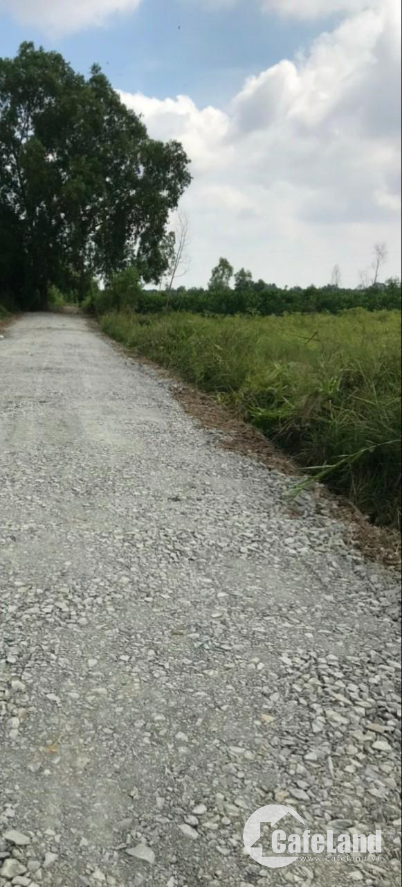 13300m2(1,3ha) đất vườn 4 mặt tiền thể hiện sổ. tại Thủ Thừa, Long An. 