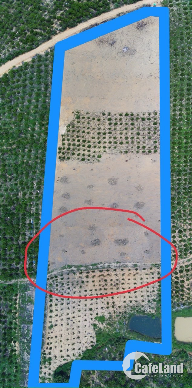 Chính chủ cần bán đất sổ đỏ 400tr/1000m2