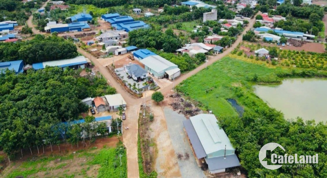 đất nền ngay trung tâm phú riềng ngay chợ trường học dân đông đúc 450tr