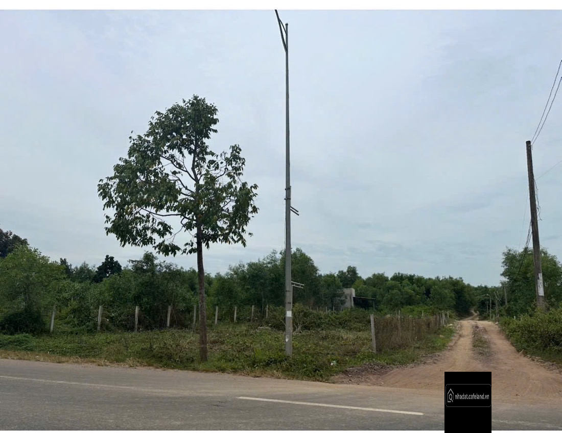 bán đất mặt tiền Đá Bạc - Hồ Tràm 