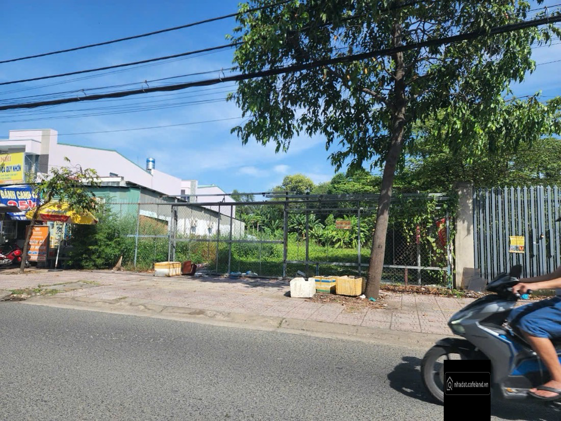 LÔ BIỆT THỰ MẶT TIỀN ĐƯỜNG NGUYỄN THÀNH PHƯƠNG 

- Thích hợp khách làm biệt thự 