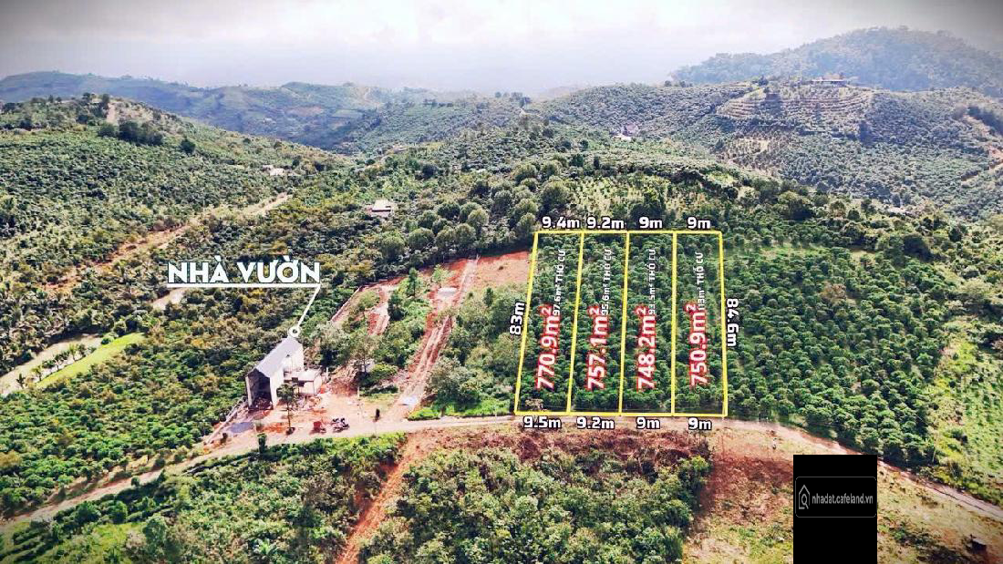 CHỈ 940TR – SỞ HỮU NGAY 750m2 “THIÊN ĐƯỜNG SĂN MÂY” ĐỒI BÁT ÚP TẠI XÃ BẢO LÂM 3