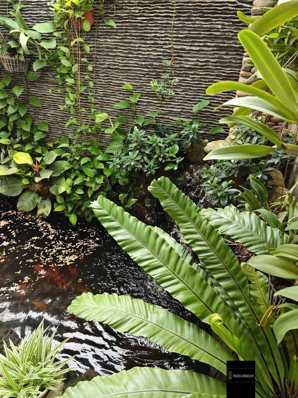 Biệt thự phố mặt tiền đường Nguyễn Thành Phương- Thống Nhất, 8,3x22, hướng Nam