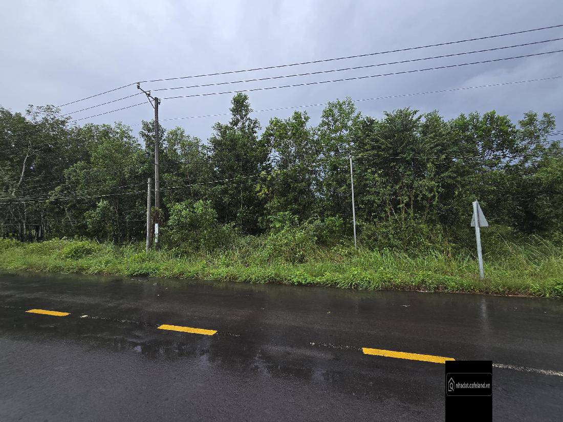 BÁN LÔ ĐẤT 1.175m² – ĐẤT CÂY LÂU NĂM – XUÂN LỘC, Xuân Bắc,ĐỒNG NAI. chỉ 1.3 tr/m