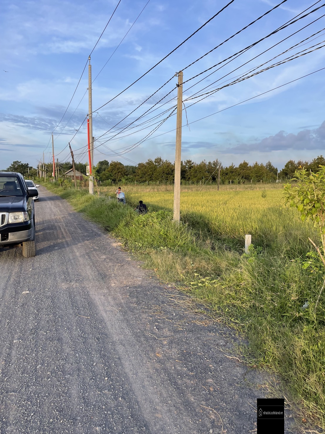 Bán đất thổ cư tại Xã Long Khánh, giá 250 triệu, 198m2, DT: 5x40m, giá ưu đãi