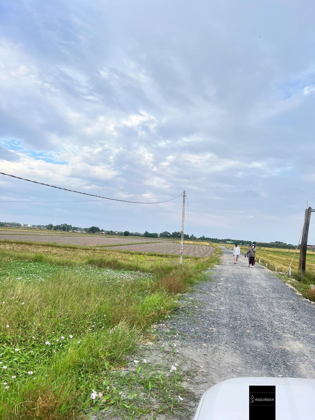 Bán đất ĐT 786, Tiên Thuận, Bến Cầu, Tây Ninh, giá tốt, 250m2