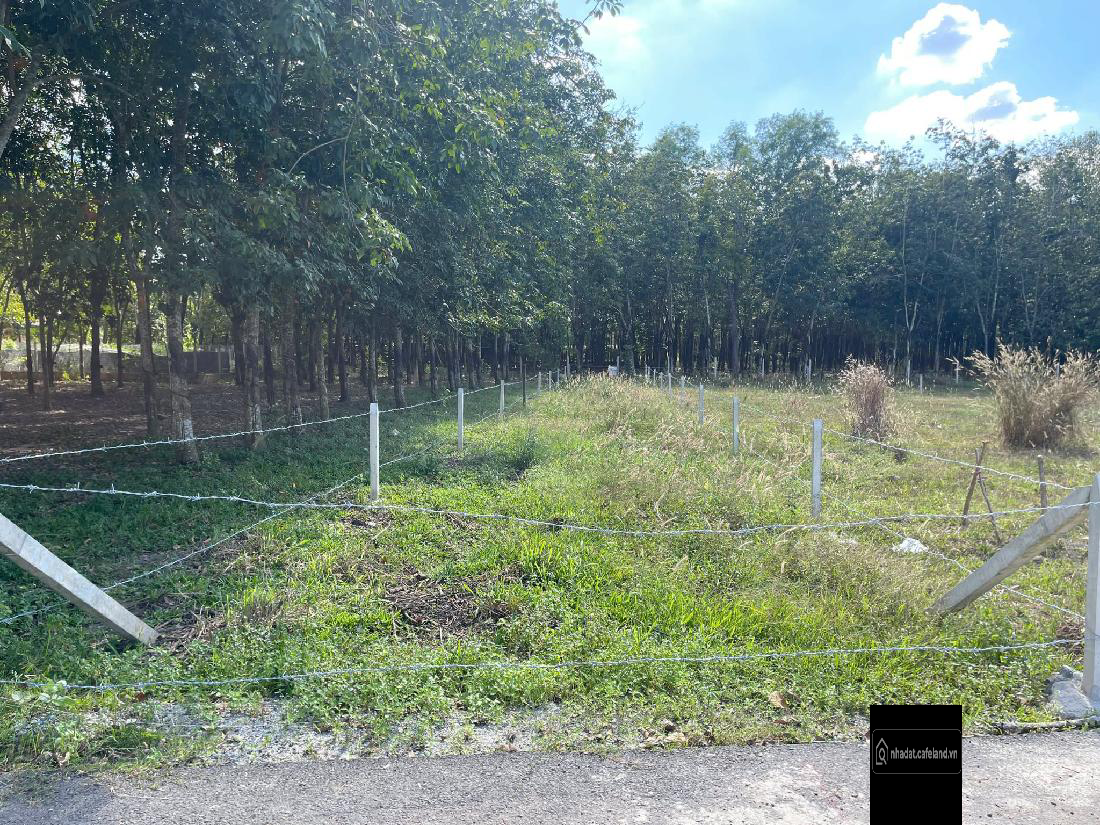 Lô Đất Ngang 10 sẵn thổ cư ngay tại TP.HCM