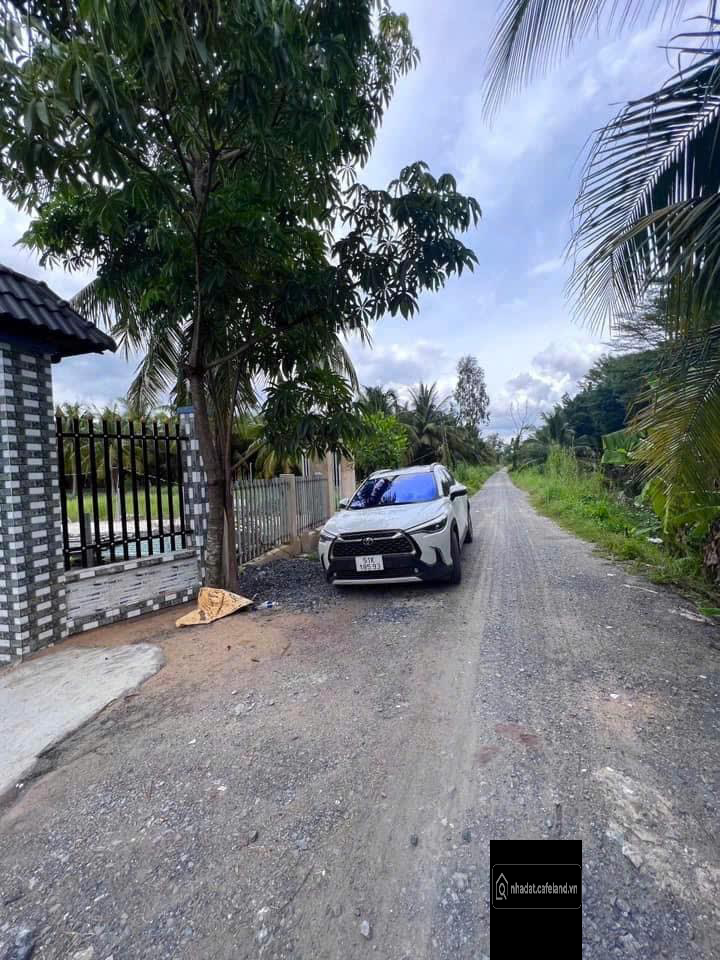 BÌNH CHÁNH, NHÀ VƯỜN KÊNH 11 VƯỜN THƠM DT 5000M2 CHỈ 14 TỶ