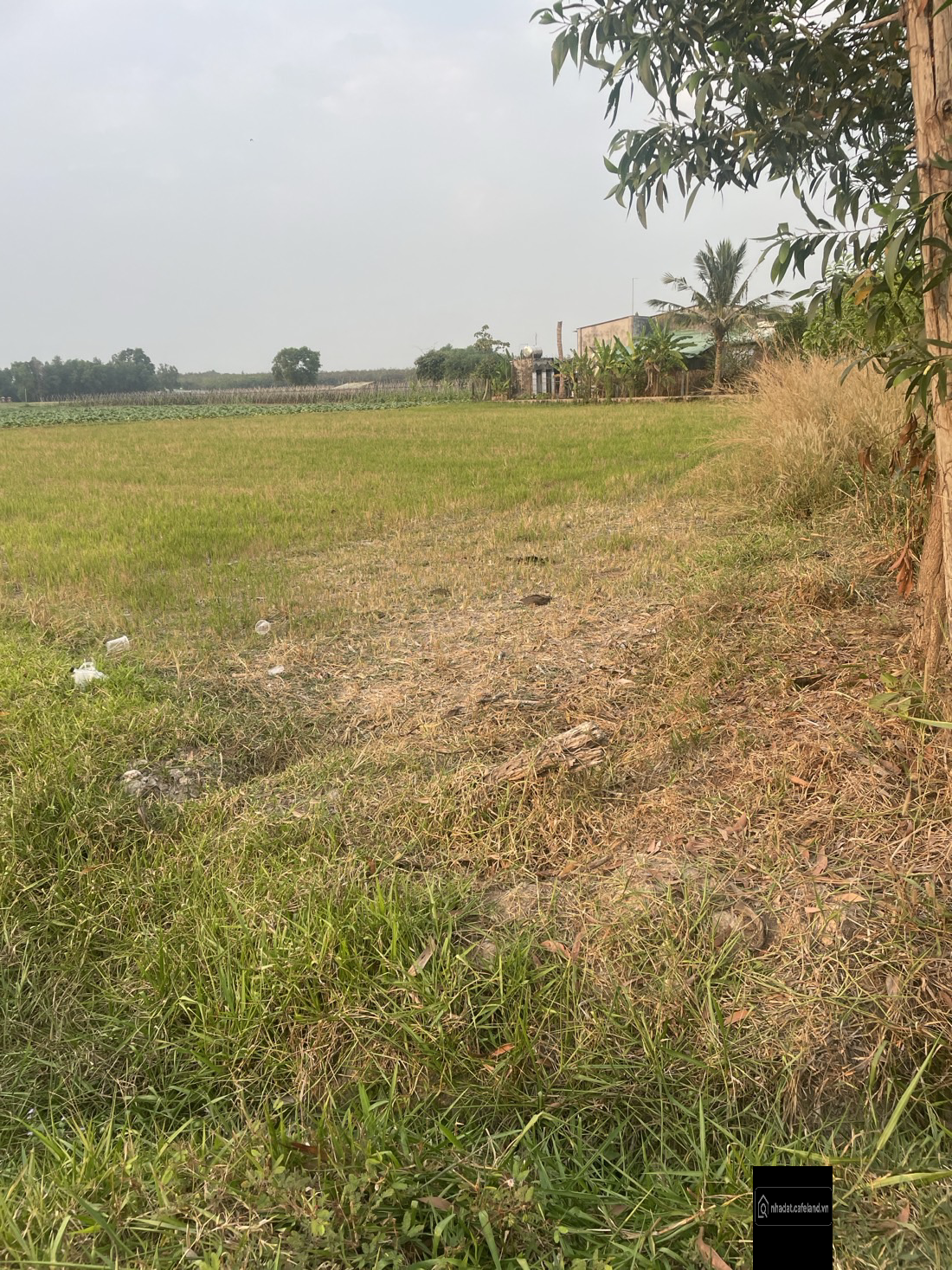 Bán đất thổ cư tại Xã Long Khánh, 215m2 giá bán chỉ có 300 triệu