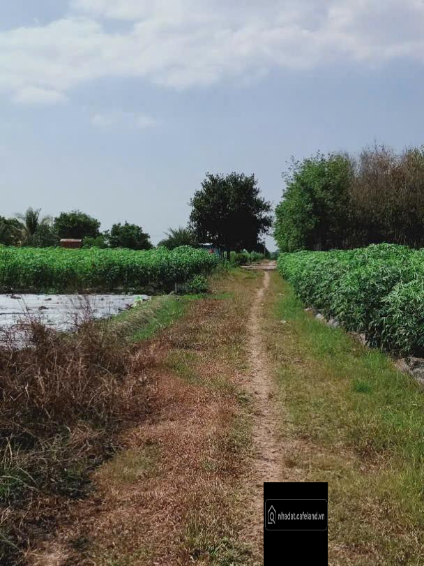  BÁN GẤP LÔ ĐẤT 5x70M - 350M2 - KHU DÂN CƯ GẦN KCN PHƯỚC ĐÔNG - GIÁ 500 TRIỆU. 