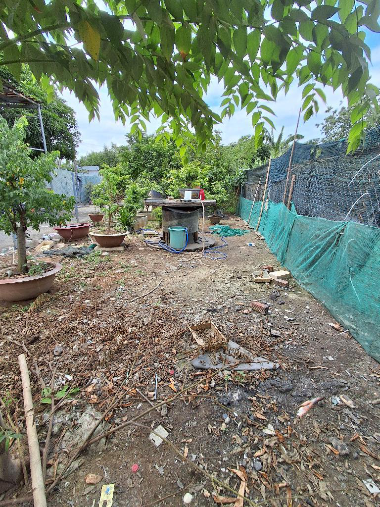 BÁN GẤP LÔ ĐẤT ĐẸP- 500M2- PHÙ HỢP XÂY NHÀ VƯỜN NGHỈ DƯỠNG
LÊ VĂN LƯƠNG - NB