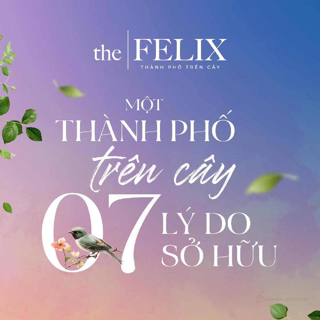 The Felix - Dự án thành phố trên cây . Căn hộ cho giới trẻ