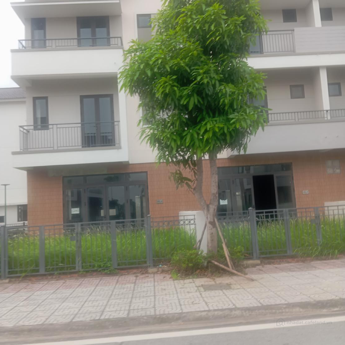 chủ đầu tư mở bán Shophouse đẹp nhất Vịnh Bắc Bộ