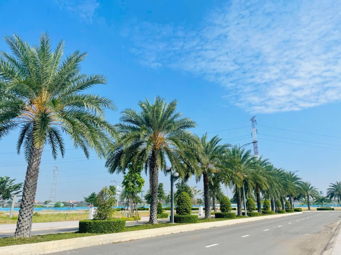 ĐẤT NÊN ĐỐI DIỆN ECO PARK LIỀN KỀ KOSY CHỈ 1,9tỉ/NỀN