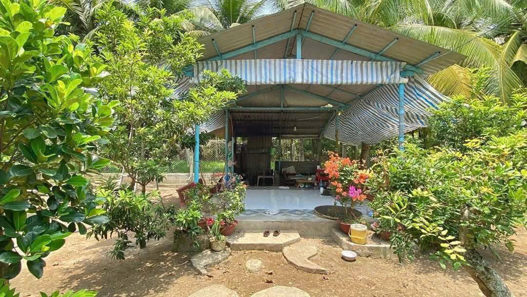 bán nhanh mảnh vườn giá ngộp