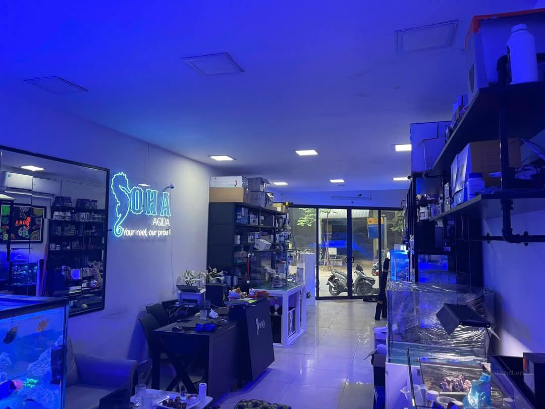 VƯƠNG THỪA VŨ, THANH XUÂN: 88m - 3T - MT: 4,5m - MẶT PHỐ HIẾM NHÀ BÁN - VỈA HÈ