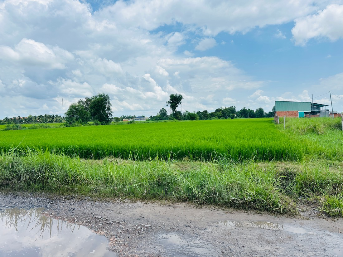 bán hơn 600m2 đất sát KDC Phú Sinh đường đá xanh 7m giá 2 tỷ 3 thương lượng