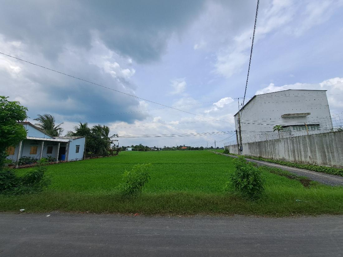 BÁN ĐẤT NÔNG NGHIỆP 2 MẶT TIỀN NỞ HẬU ĐƯỜNG ĐĂNG MỸ, TÂN TRỤ, LONG AN