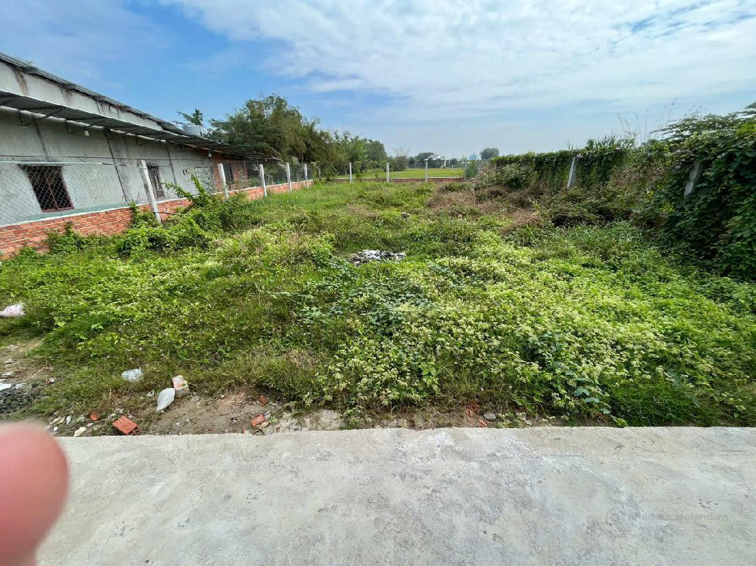 Cần tiền bán gấp lô đất giá rất rẻ. 