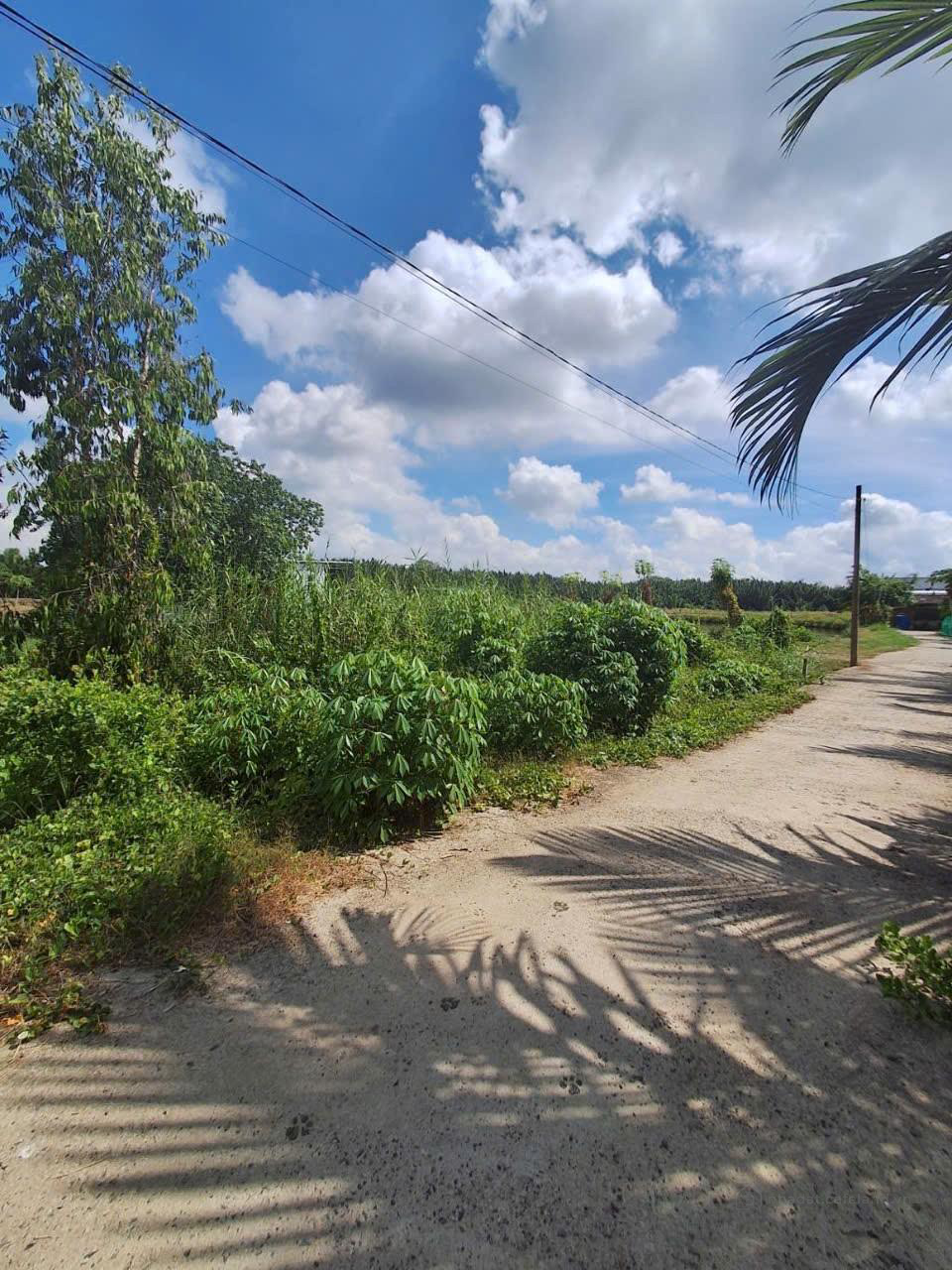  ĐẤT NÔNG NGHIỆP RỘNG 3.500M² - NGANG 21M - LÊ VĂN LƯƠNG, XÃ NHƠN ĐỨC, NHÀ BÈ

