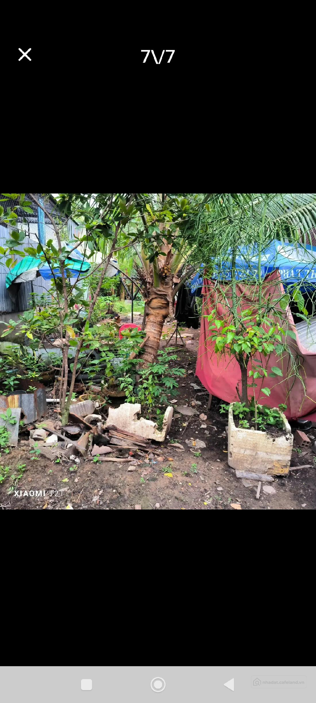  CẦN BÁN GẤP ĐẤT TP. VĨNH LONG 