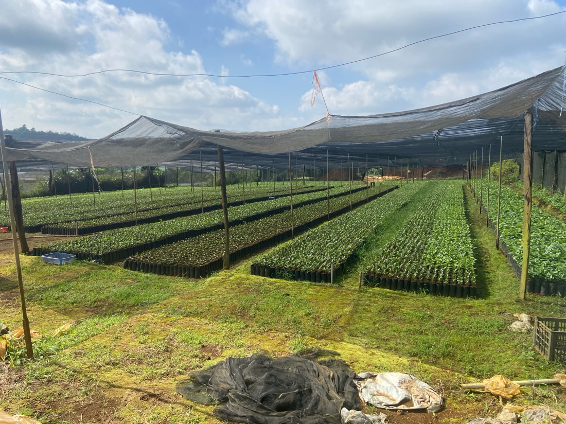 Bán 1000m2 với 400m2 thổ cư, gần mặt tiền đường Lớn Cao Ba Quát và gần Lý Thường
