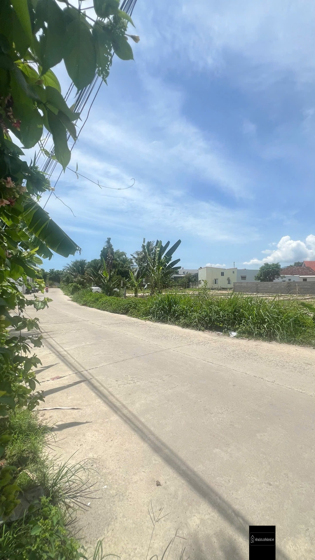 BÁN ĐẤT ĐƯỜNG LIÊN HOA GẦN SÔNG CÁI - TÂY NHA TRANG (VĨNH THẠNH)