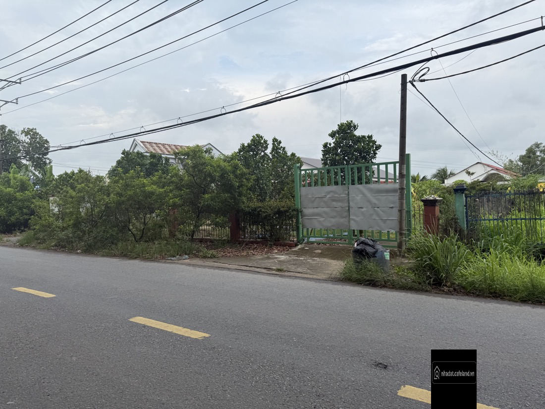 Bán gấp, mặt tiền 3335 m2 ( 250 m2 thổ cư) , Thanh Niên , Tân Vĩnh Lộc , TPHCM