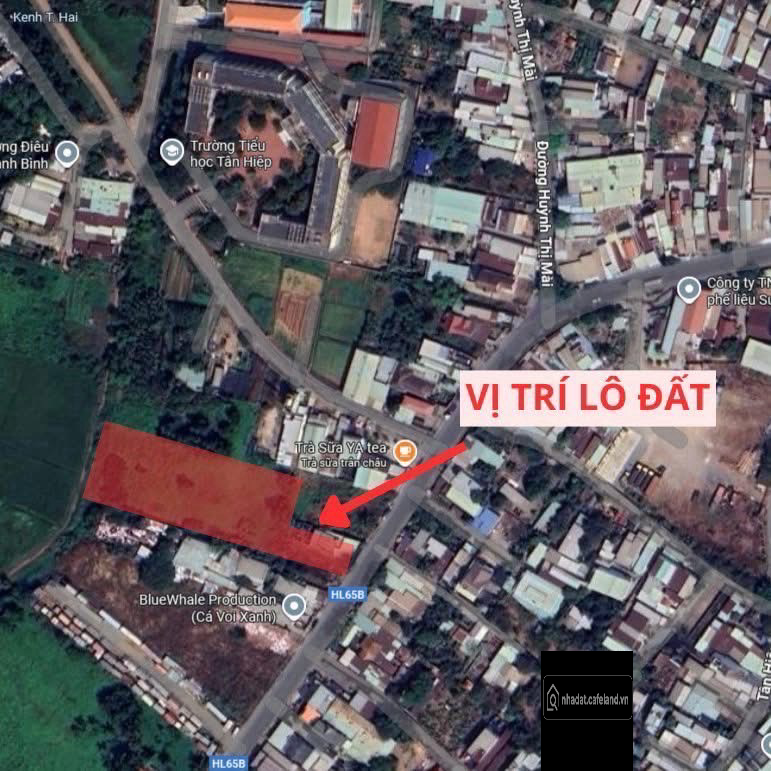 Bán đất 2 mặt tiền,  xây nhà xưởng , VPCT , 2400 m2 Dương Công Khi , Hóc Môn.
