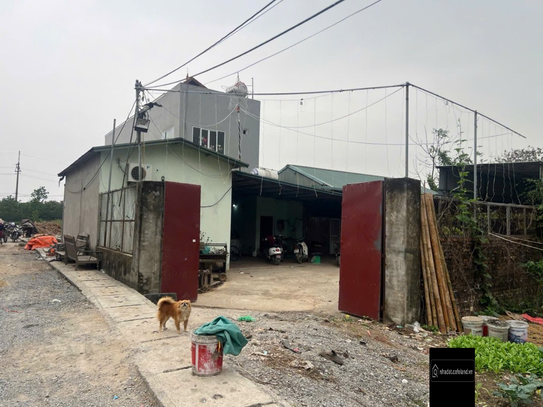 Bán 102m2 đất Đình Tổ Đại Đồng Hưng Yên.