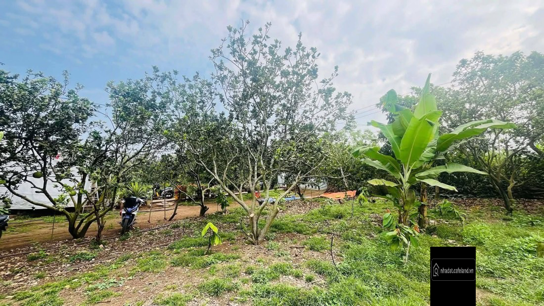 NHÀ VƯỜN CHƠN THÀNH ĐỒNG NAI