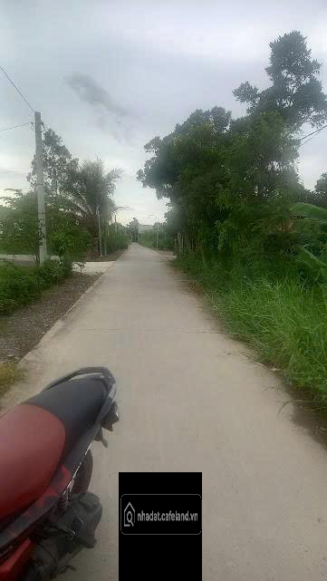  BÁN GẤP 300M2 ĐẤT THỔ – CHỦ NGỘP CẦN RA NHANH TRONG TUẦN