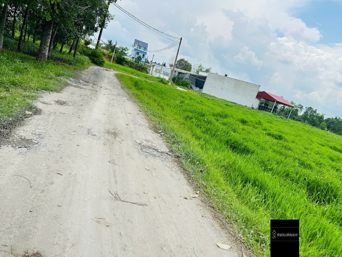 bán lô đất 800m2 chủ ngộp giá cực rẻ, mỹ hạnh bắc đường ô-tô