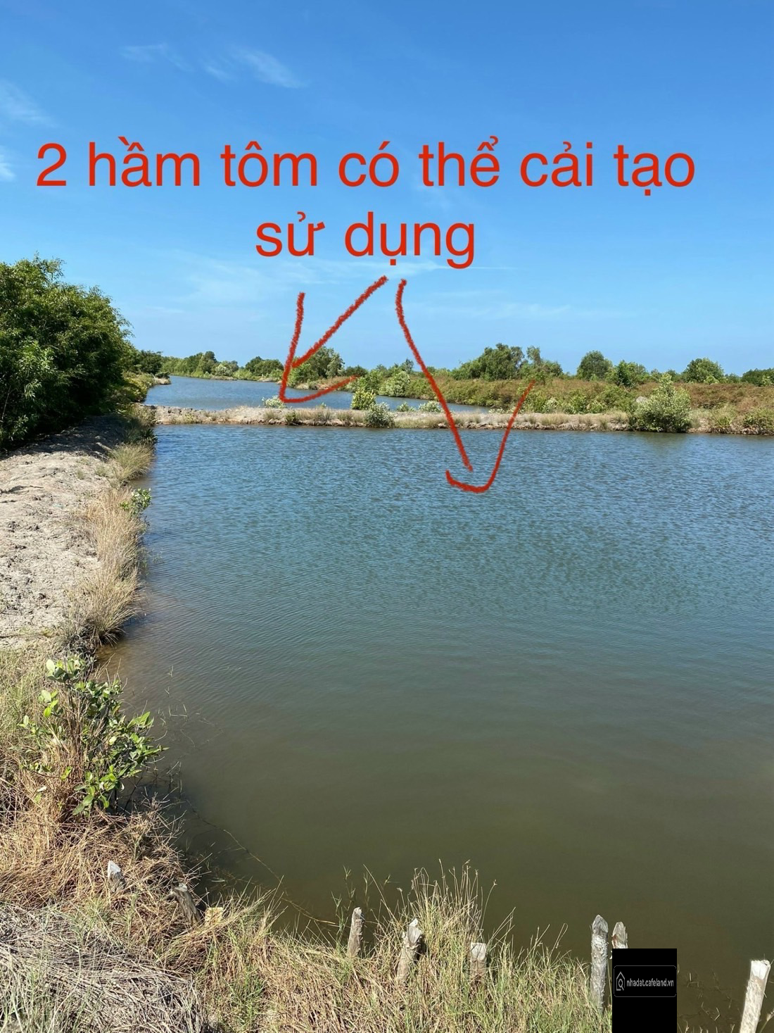 Bán đất vuông 60000m2 có 300m2 thổ cư, lộ 3m tại thị trấn Năm Căn, 7 tỷ VND gần 