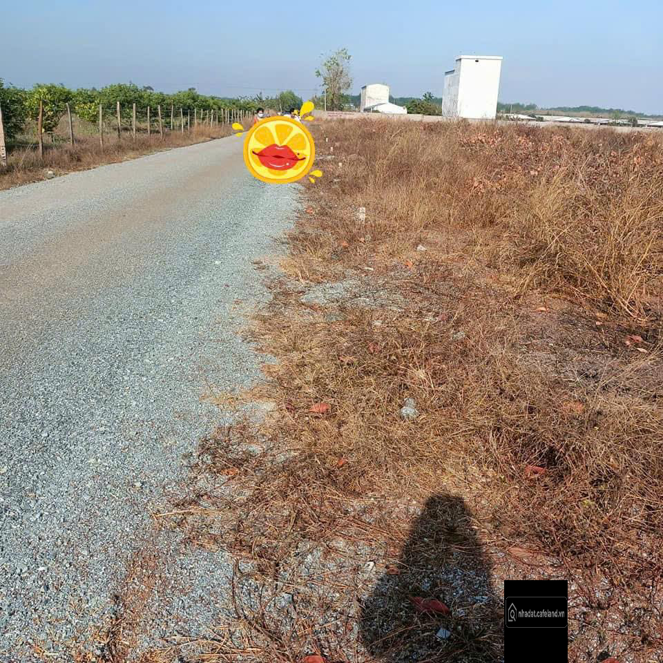 Góc 2 mặt tiền, 1500m2 đất cây lâu năm giá chỉ 1,5 tỷ, đường rộng 18m. 