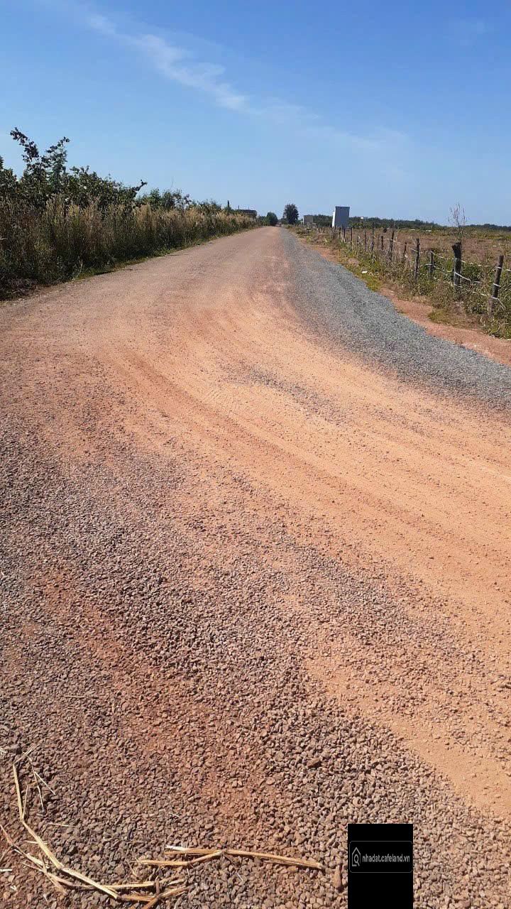 Gia đình về quê sinh sống chuyển nhượng lại 1500m2 đất CLN giá chỉ 1,5 tỷ