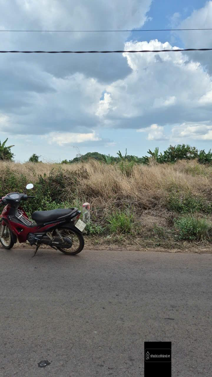 Chính chủ cần bán gấp nền đất đẹp, mặt tiền Long Giao, lộ giới 30m. Giá 3,66 tỷ.