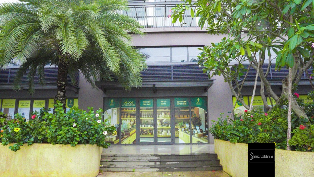  GRAND DUPLEX PICITY HIGH PARK
Vừa ở – vừa kinh doanh – lợi nhuận kép