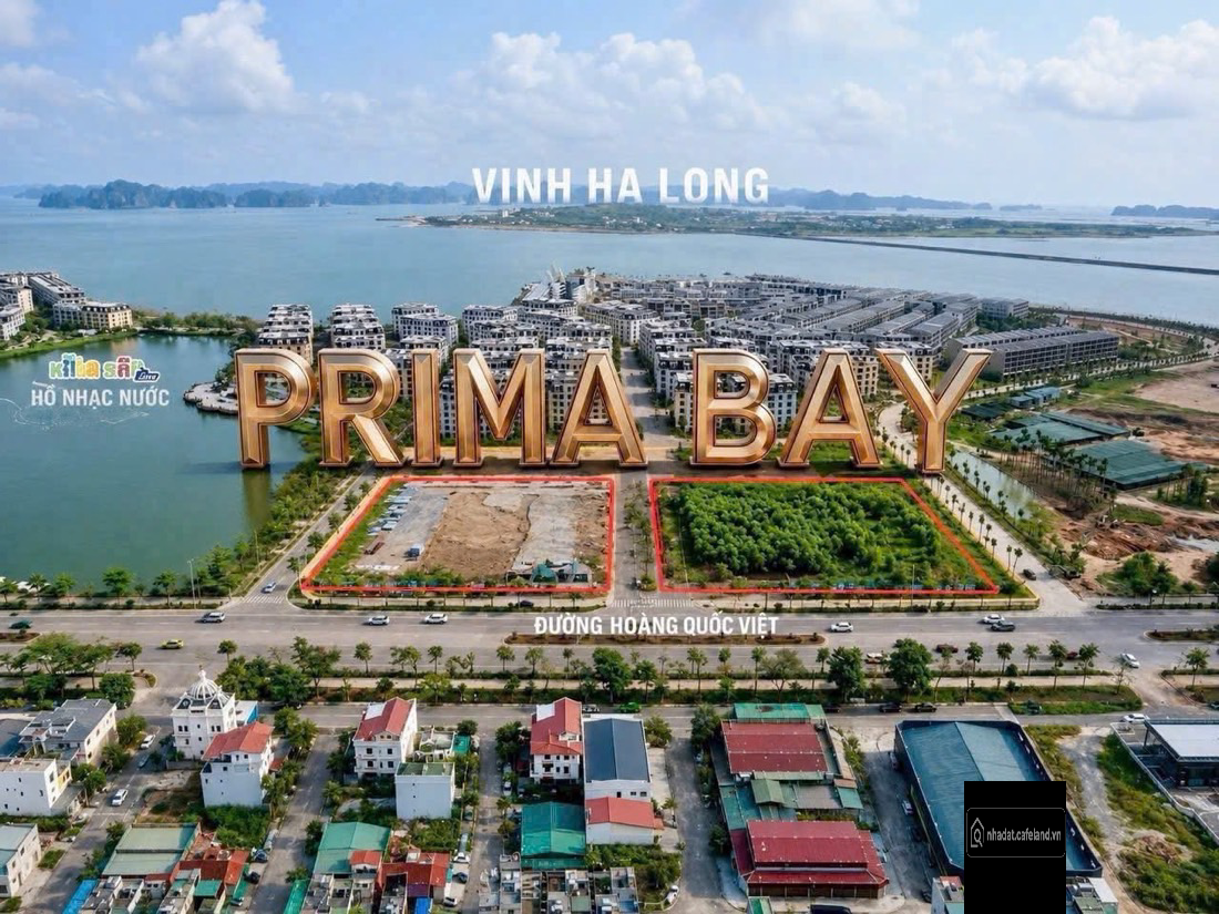 Căn hộ view biển Bãi Cháy giá chỉ từ 1.374 tỷ