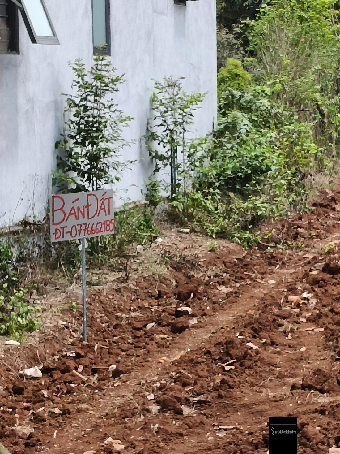 Bán đất thổ cư, mặt tiền 9,52m, đường nhựa 25m, diện tích 620m2, dân cư hiện hữu